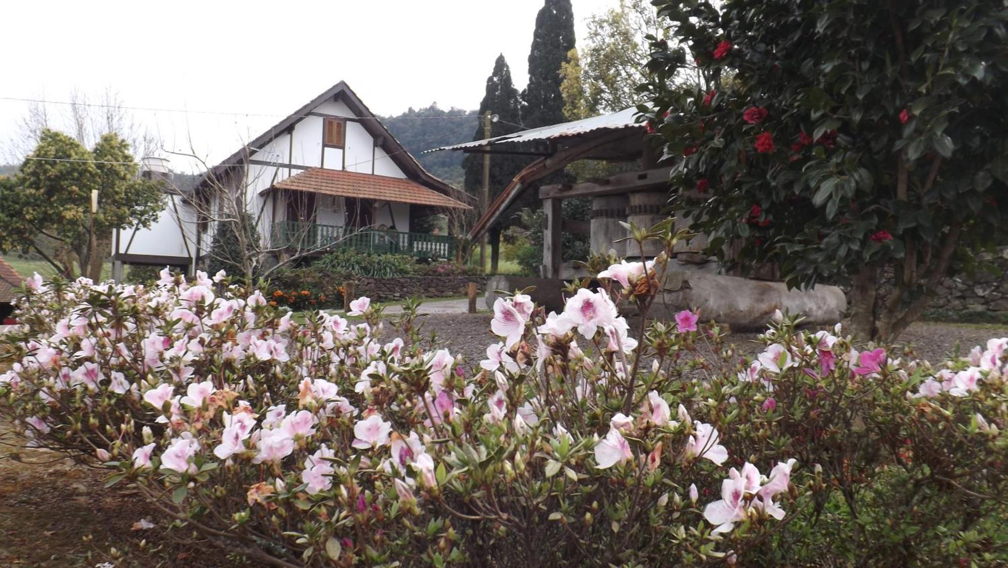 Recanto Dos Pioneiros Nova Petropolis Habitación foto